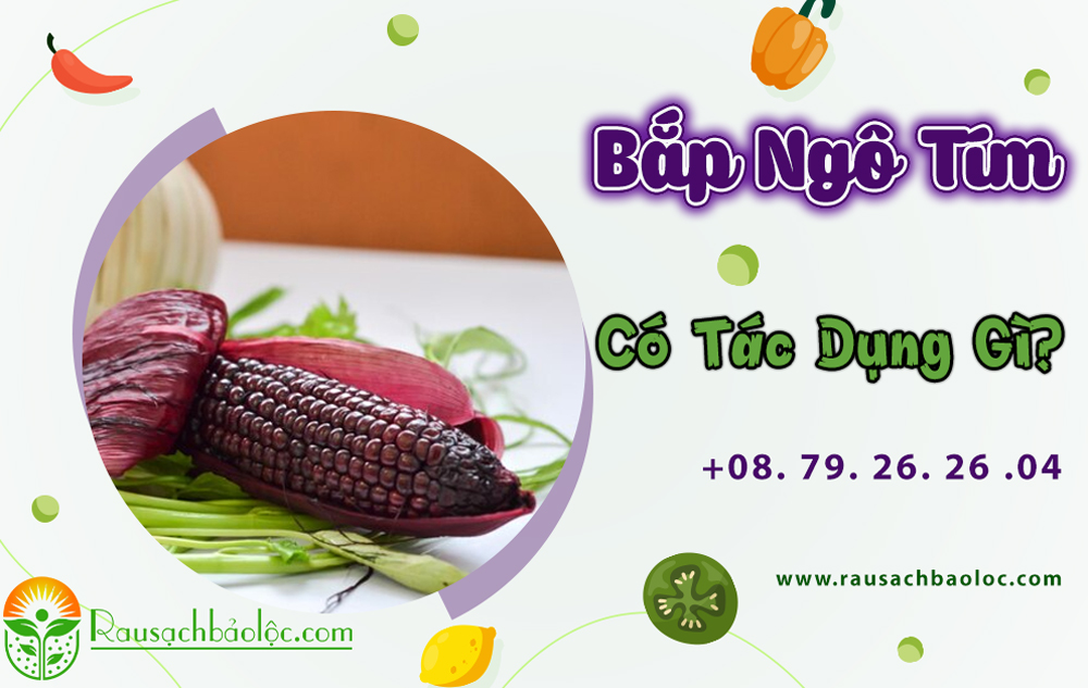 Bắp Ngô Tím Có Tác Dụng Gì?