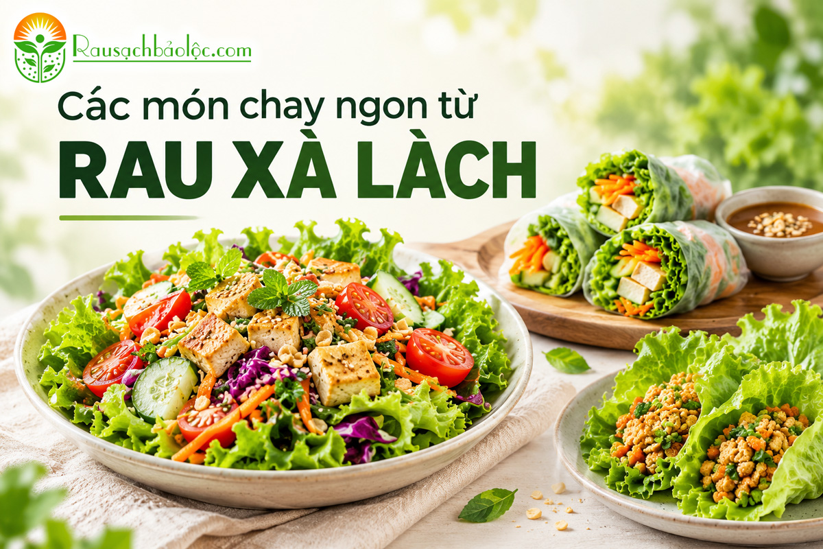 Món chay ngon từ rau xà lách