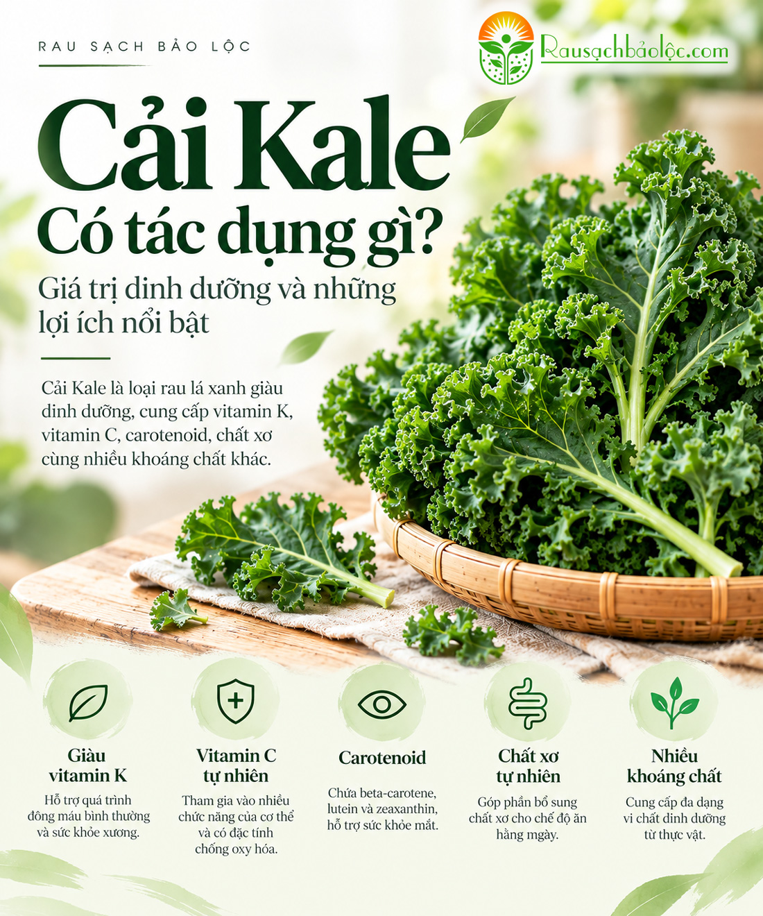 Cải Kale có tác dụng gì