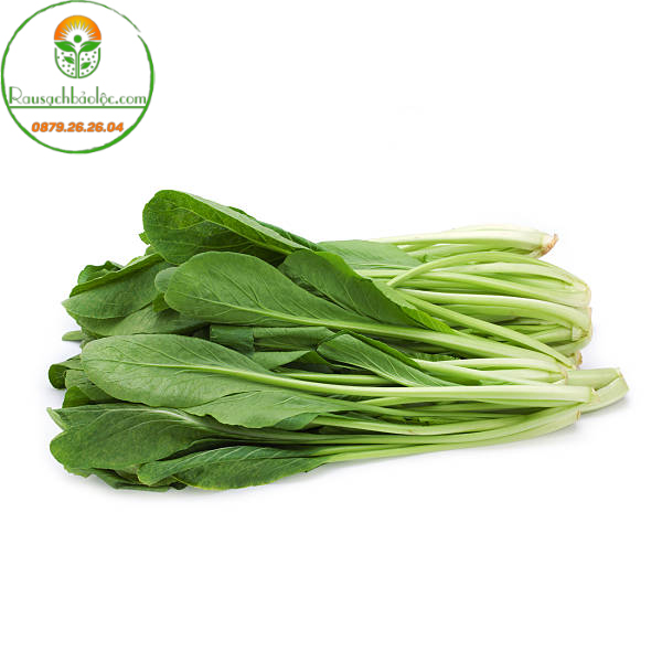 Cải ngọt hữu cơ - Rau sạch Bảo Lộc Cải ngọt hữu cơ - Rau sạch Bảo Lộc