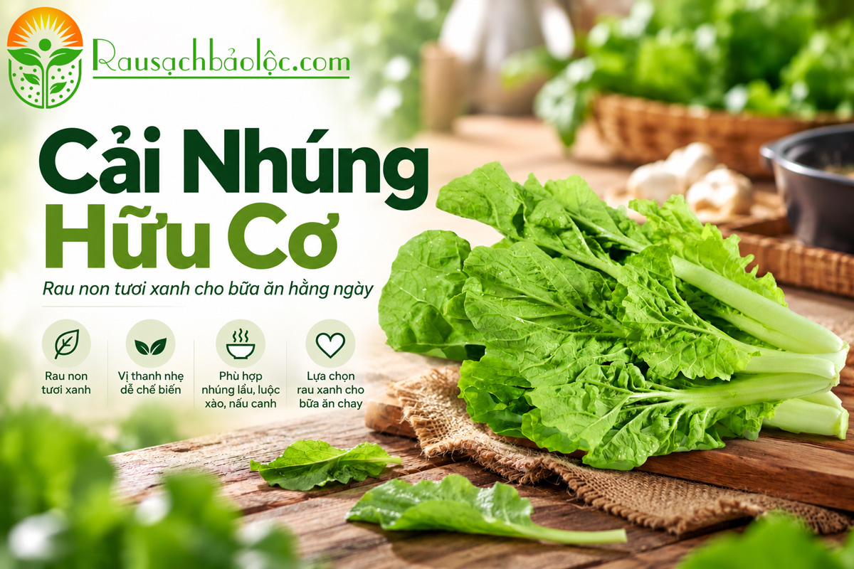 Cải Nhúng tươi dùng trong bữa ăn hằng ngày