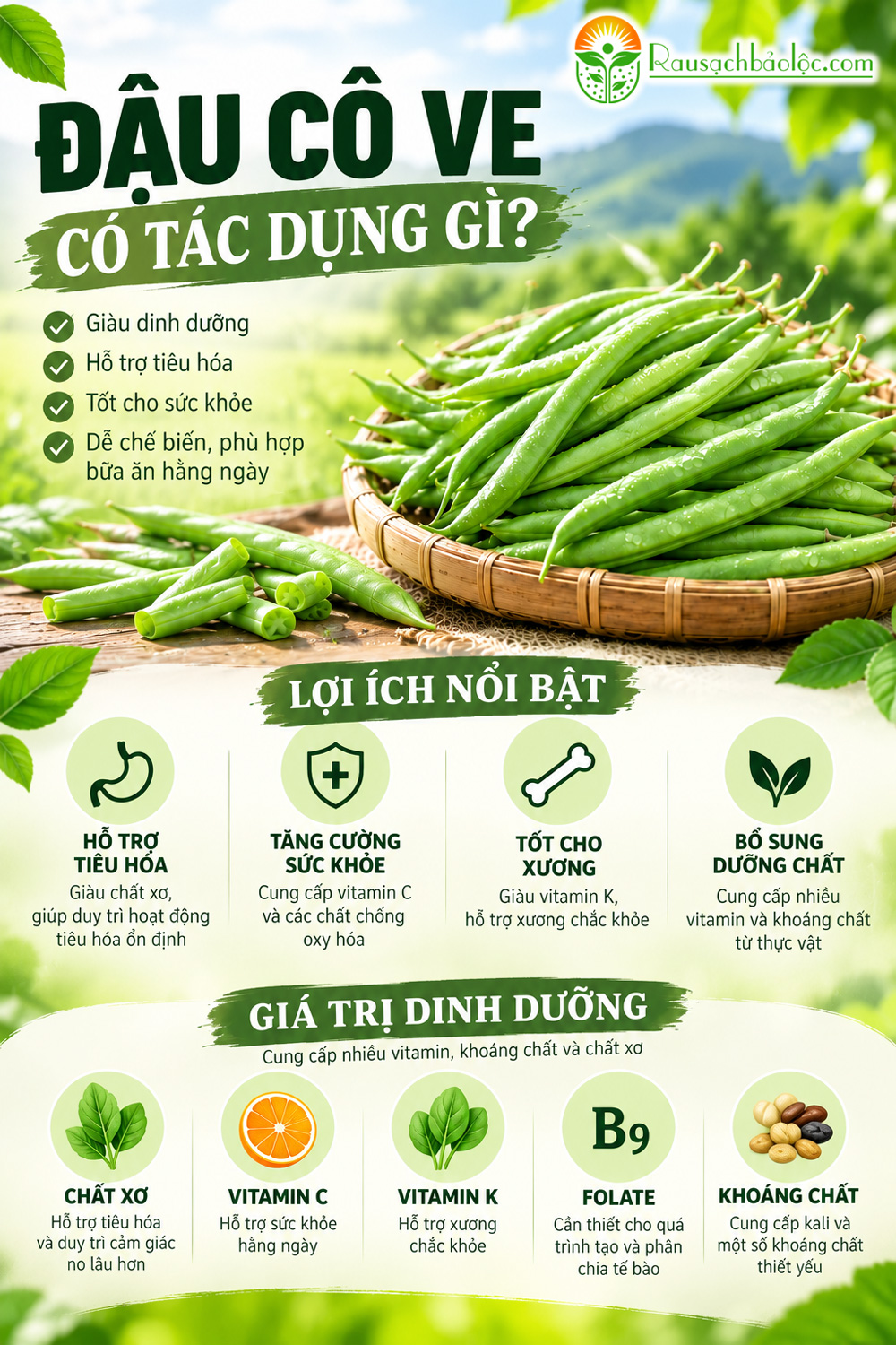 Đậu cô ve tươi xanh và lợi ích dinh dưỡng