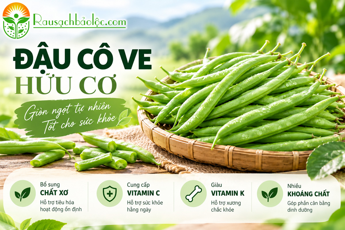 Đậu Cô Ve Hữu Cơ 500g tươi xanh tại Rau Sạch Bảo Lộc