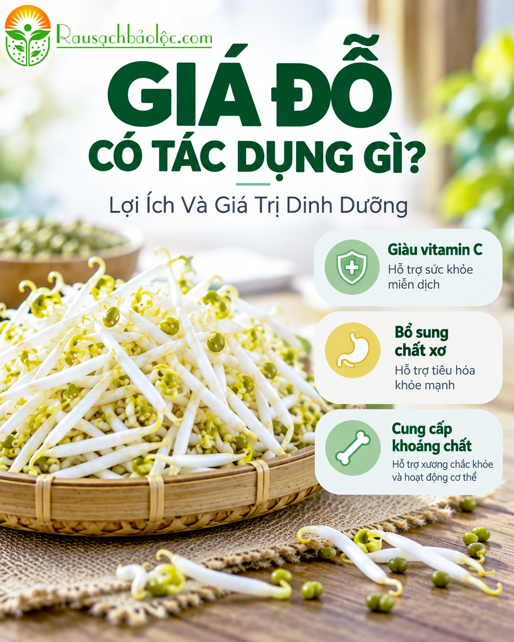 Giá đỗ đậu xanh và các thành phần dinh dưỡng trong bữa ăn