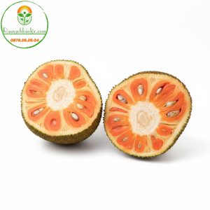 Mít Đỏ Hữu Cơ