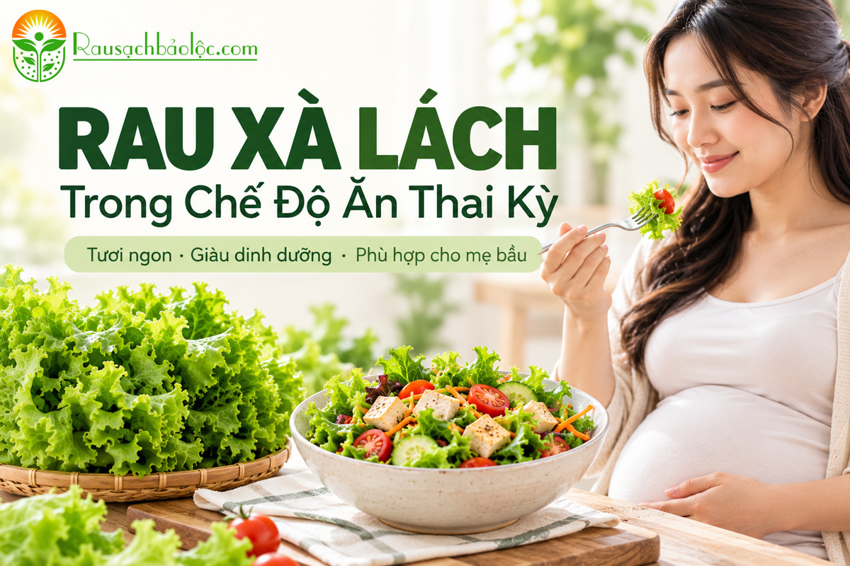 Cách sơ chế xà lách an toàn cho phụ nữ mang thai